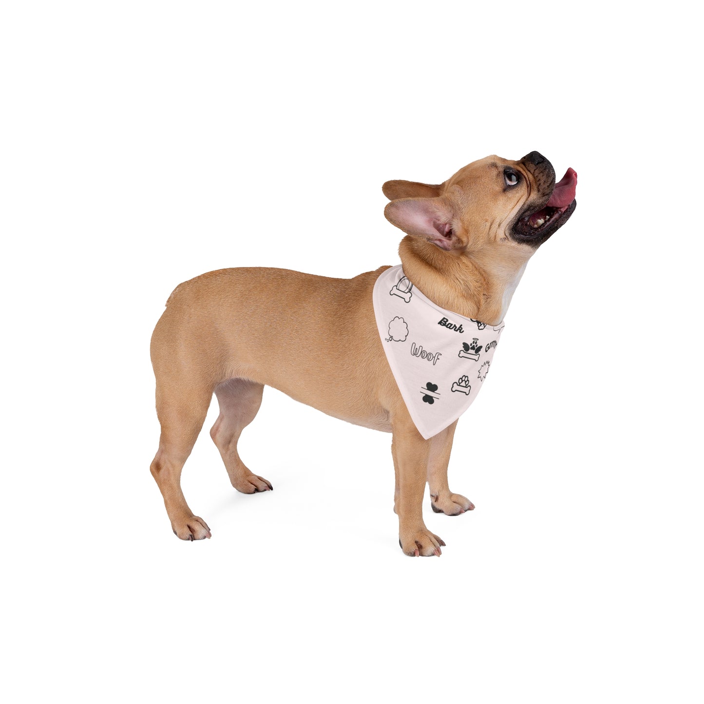 Pet Bandana