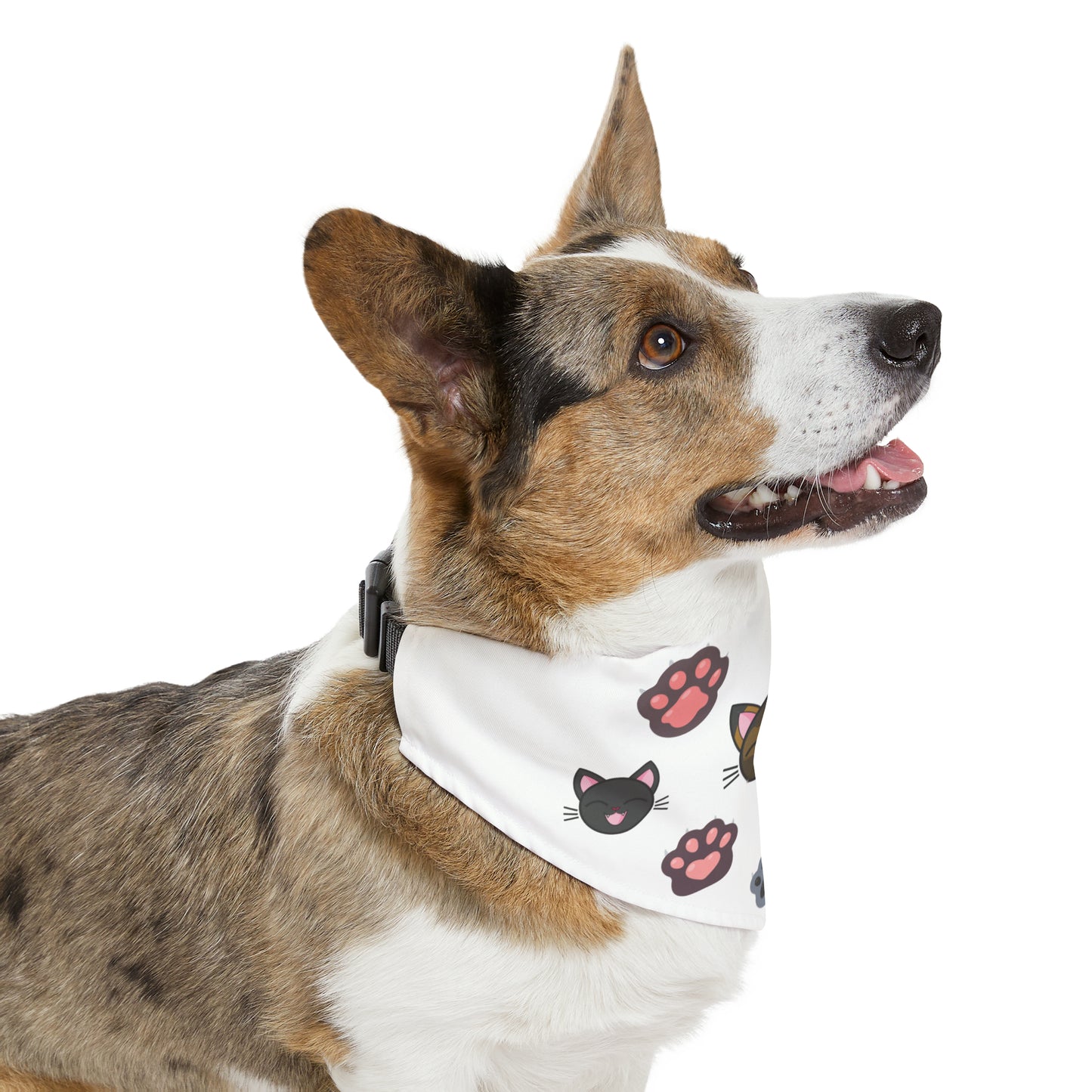 Pet Bandana Collar