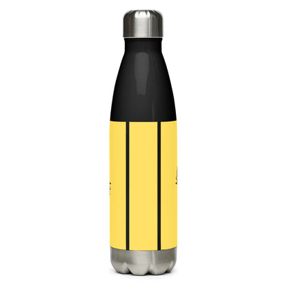 Stainless Steel Water Bottle With Cute Spiral Design